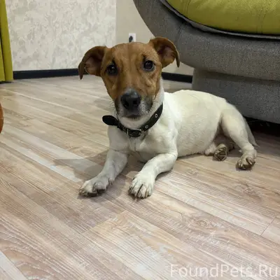 Друзья, нужна помощь!!!🆘 В рай...