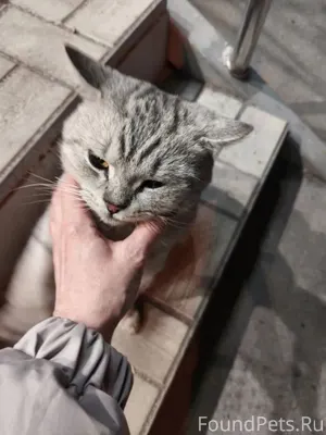 Около Монетки на 35м найден ко...