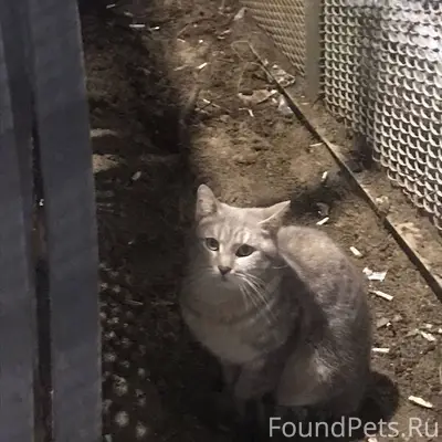 ‼️27 ноября в Раменском у плат...