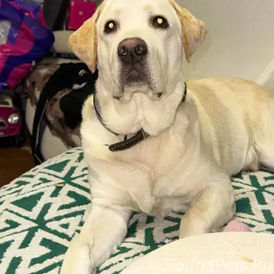 27 километр Железной Дороги Мо...