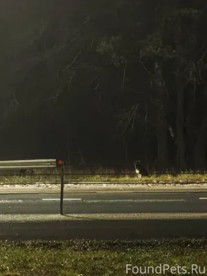 Добрый вечер!!!! Срочно Напрот...