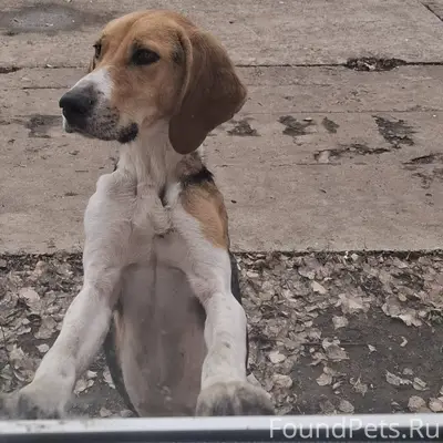 На территории погроменского ра...