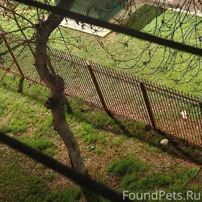 Сегодня в 19.30 две девочки...