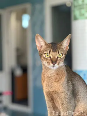 Всем здравствуйте, пропала наш...