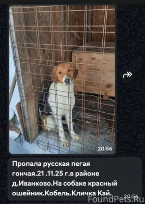 «Андрей доброе утро. Не будьте...