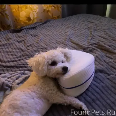 Добрый вечер! Опубликуйте пожа...