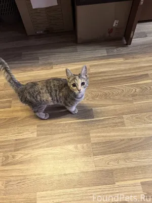 Утром 24.11.25 на входе...