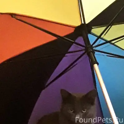 Помогите найти друга!!!