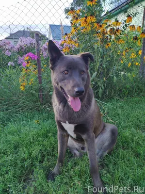 Добрый день! Прошу помощи, поз...