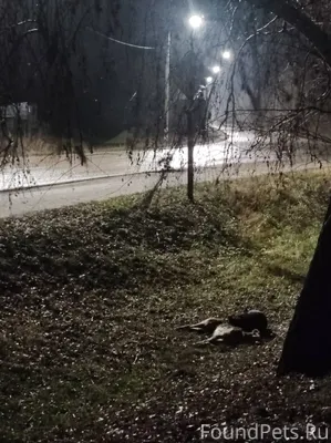 🆘🚨Требуется внимание и помощь!...