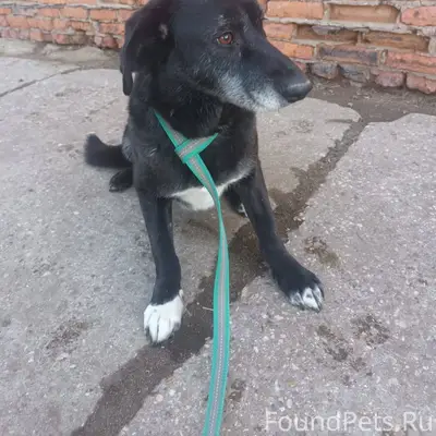 Клинский район, д. Шипулино. П...