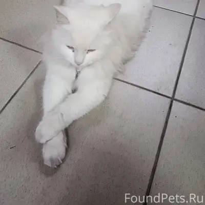 🆘 24.11.25 по адресу...