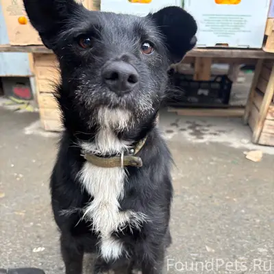 Может кто то потерял , говорят...