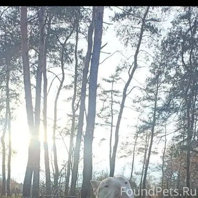 Горловка. Ребята, помогите пож...