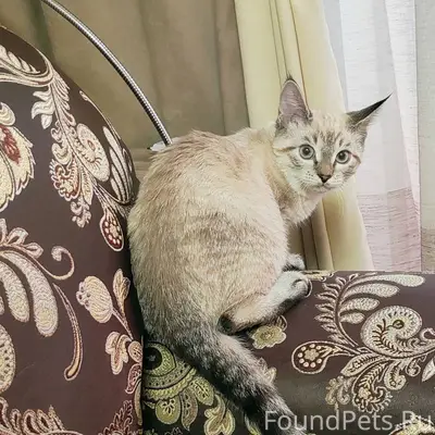 Новомосковск, Залесный улица П...