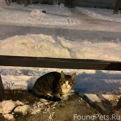 27 ноября вечером на остановке...