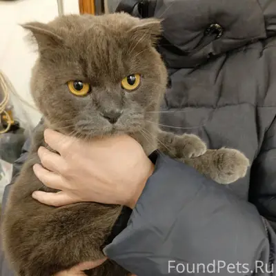 ❗❗❗Внимание ❗❗❗ Потеряшка серы...