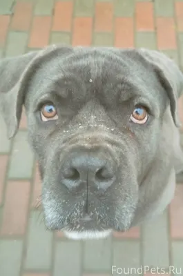 Чудеса случаются... Ради таких...