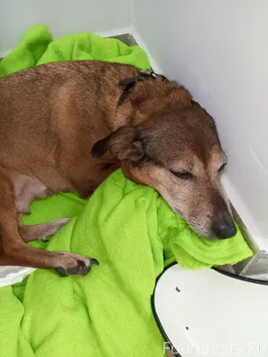 Вчера у магазина Пятёрочка по ...