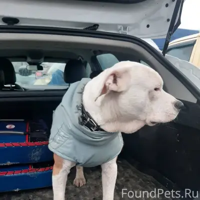 Сегодня по трассе Санкт - Пете...