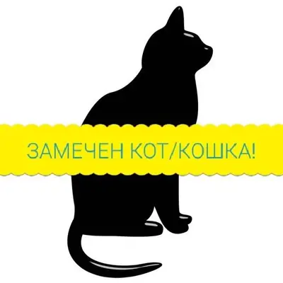 ВОЗМОЖНО ПОТЕРЯШКА! Сегодня, н...