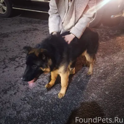 Доброго времени суток, Прошу в...