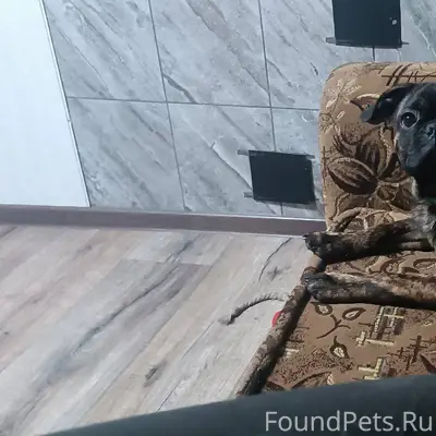 В районе ш.42 (интернат) 14...