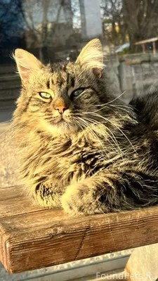 🆘 МЕНЯ ПРЕДАЛИ ЛЮДИ 🥺🆘 ❌...