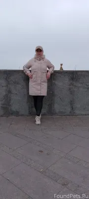 Первая Кошка в Евпатории найде...