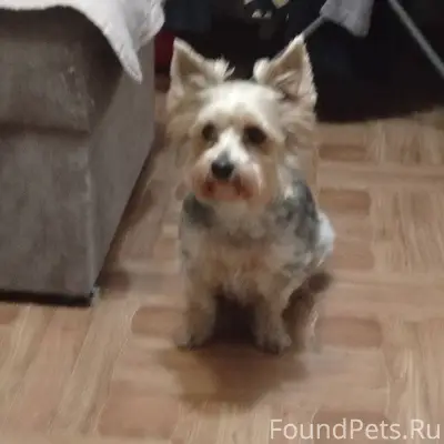 Добрый вечер, опубликуйте пожа...