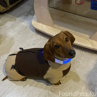 Сегодня (27.11) около 17:00...