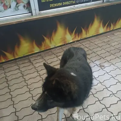 Добрый вечер Если кто-то потер...