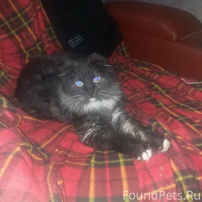 💢Здравствуйте прошу найти моег...