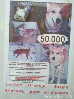 "Он бесполезен для охотников, ...