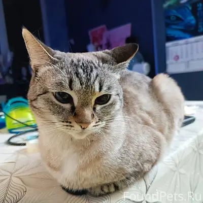 28.11.2025 в 24-мкр...