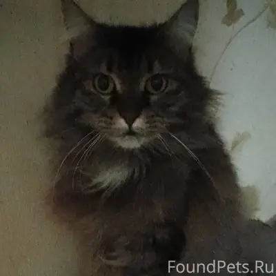 Сегодня у меня была "бурная " ...