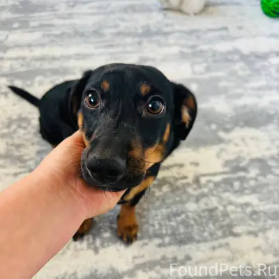 Добрый день,друзья,чья девочка...