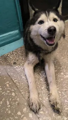 На проспекте Ильича, возле дом...