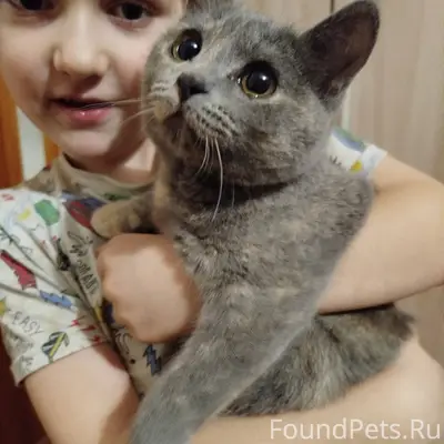 В районе березовой рощи найден...