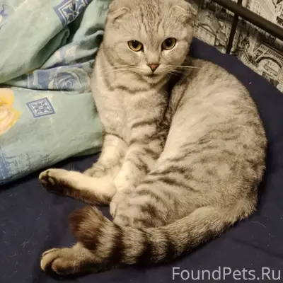 Чья потеряшка? Сегодня к нам в...