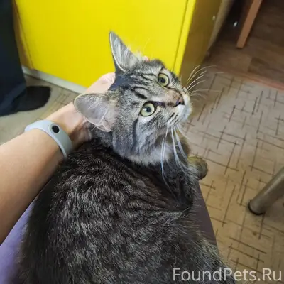 Помогите, пожалуйста, найти! 3...