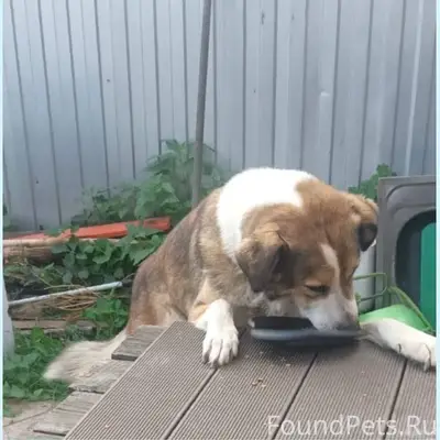 🆘🆘🆘🆘🆘🆘🆘🆘🆘🆘 Пожалуйста, максима...