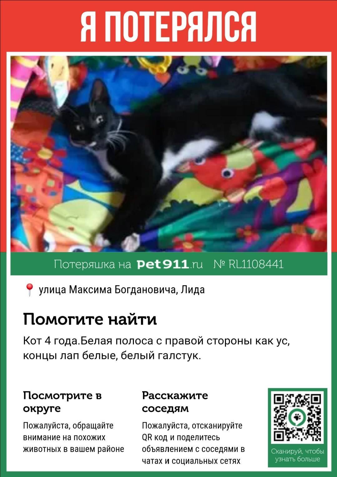Пропал кот в районе Север, тел...