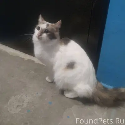 Волжский, 17 мкр, ул Нариманов...