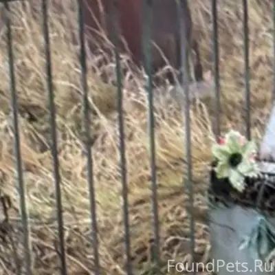 🔥 Информационная помощь 🔥 На к...