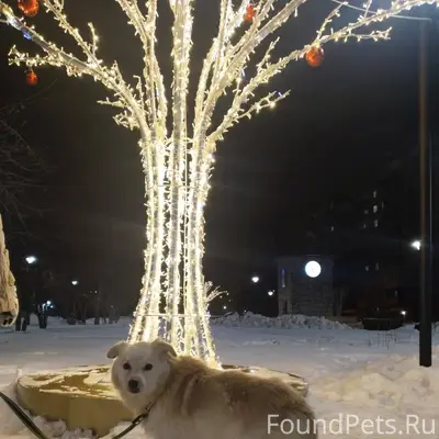 ВСЁ ЕЩЁ НЕ НАЙДЕН ‼ ПРОПАЛА...