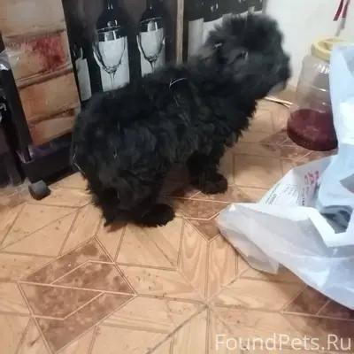 Продолжение номер два)) От хоз...