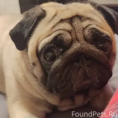 В ночь с 29.11-30...