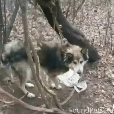 УВАЖАЕМЫЕ ГОРОЖАНЕ!! Нужна ИНФ...