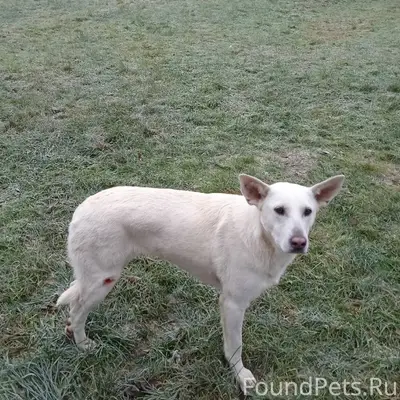 📣 Егорьевск МО 📣 📣 Друзья...